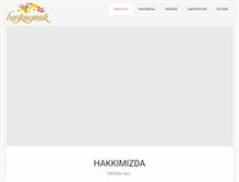 Tablet Screenshot of hasturkgida.com
